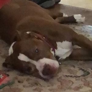 Meet your Posher, Marie